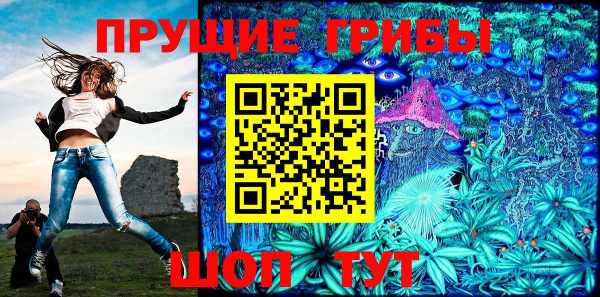 как найти наркотики  Псилоцибиновые грибы ЛСД  Вход с VPN  Лениногорск 